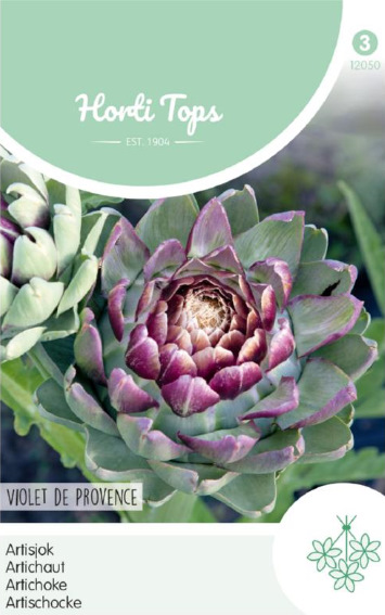 Artischocke Violet De Provence (Cynara scolymus) 30 Samen HT